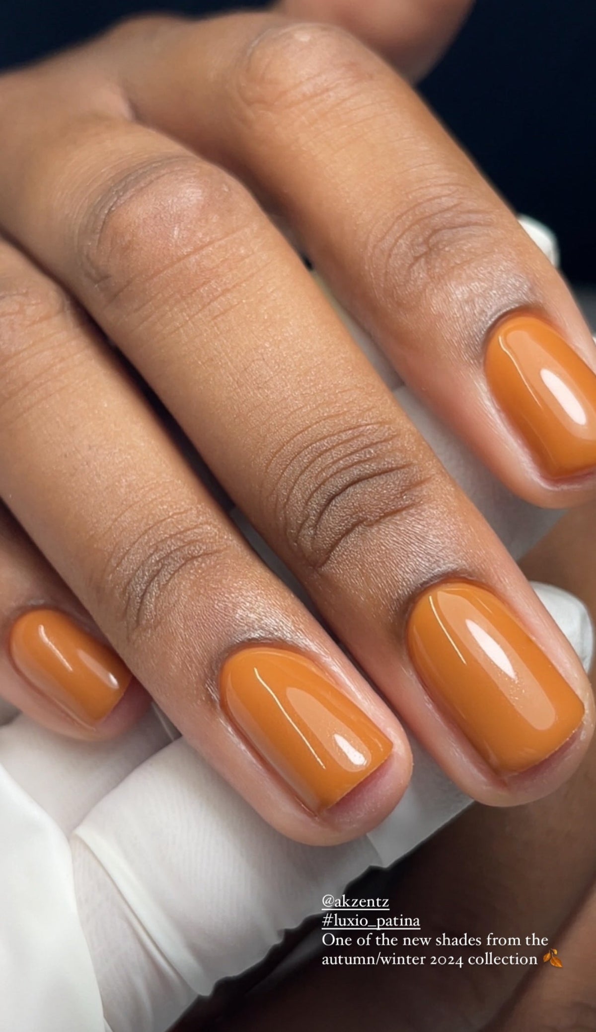 Patina Luxio Gel Colour