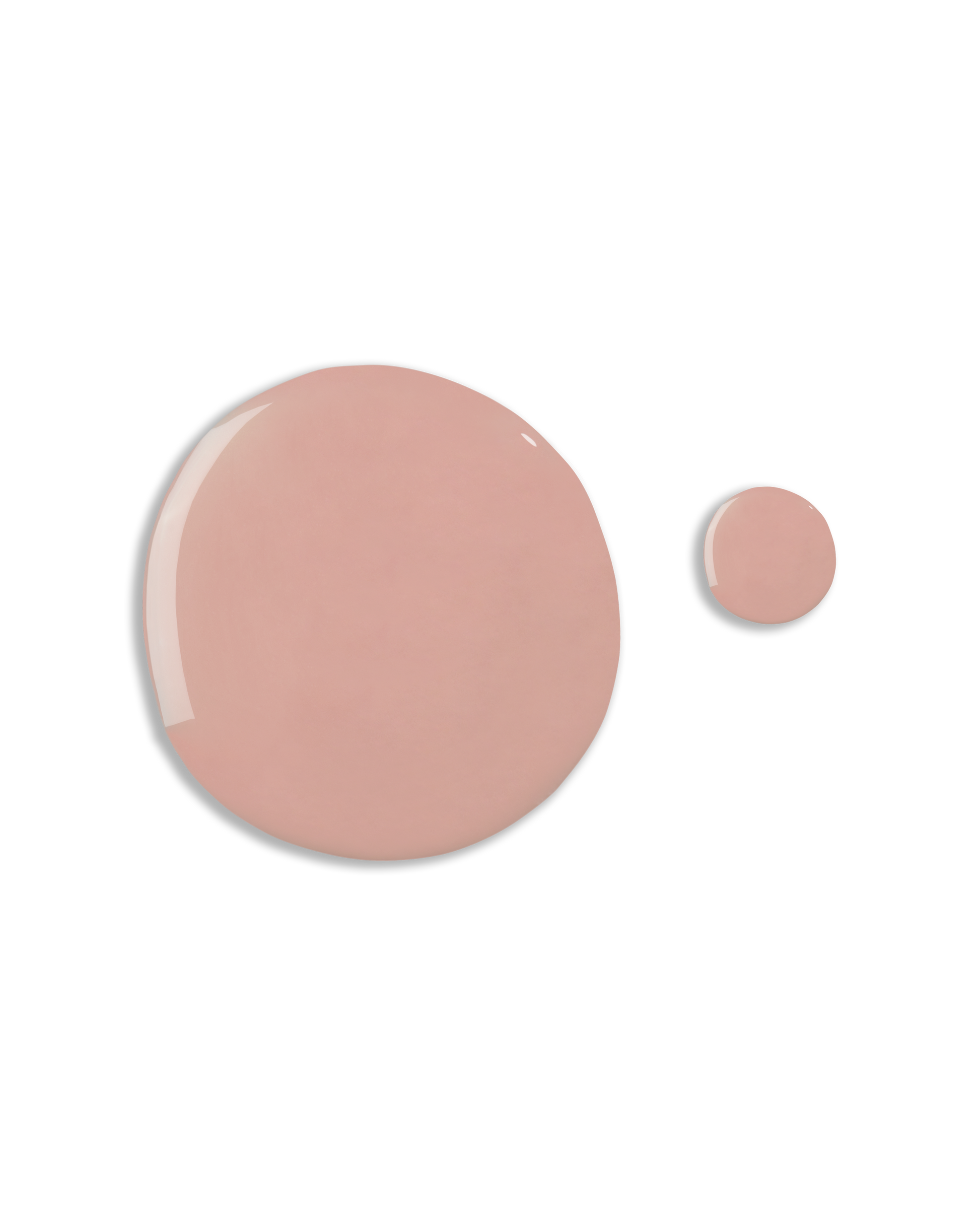 19 BIAB – The Beauty Theory Supply